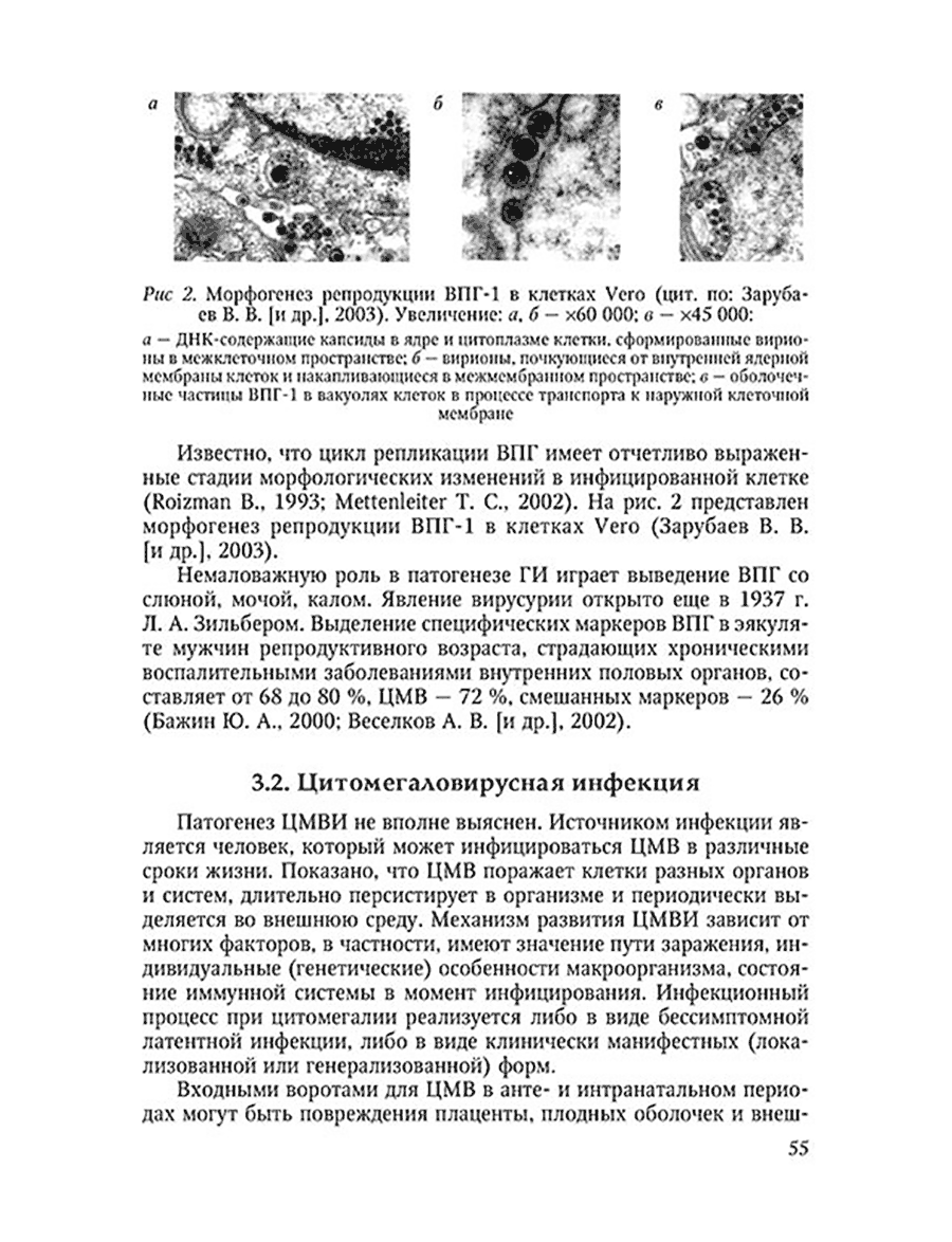 Пример страницы из книги "Герпесвирусные инфекции человека: руководство для врачей" - Исаков В. А.