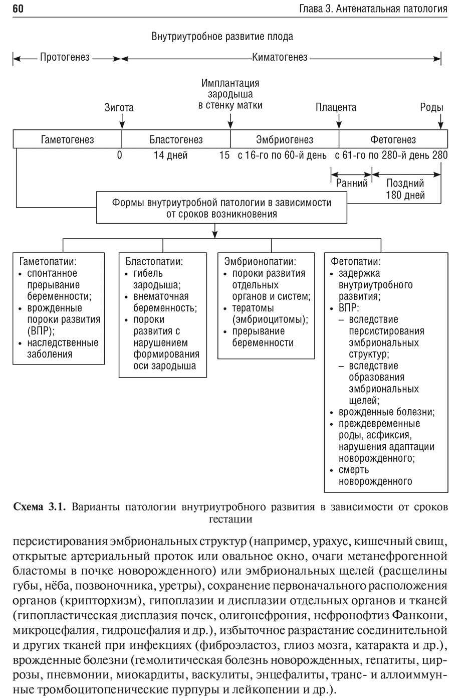 Схема 3.1. Варианты патологии внутриутробного развития в зависимости от сроков гестации