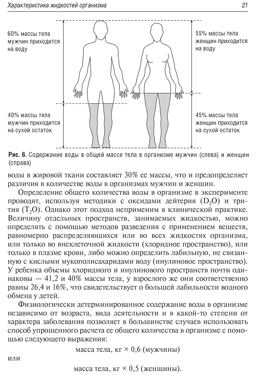 Рис. 6. Содержание воды в общей массе тела в организме мужчин (слева) и женщин