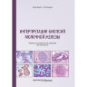 Книга "Интерпретация биопсий молочной железы"

Авторы: Шнитт С. Дж.

ISBN 978-5-98811-770-4