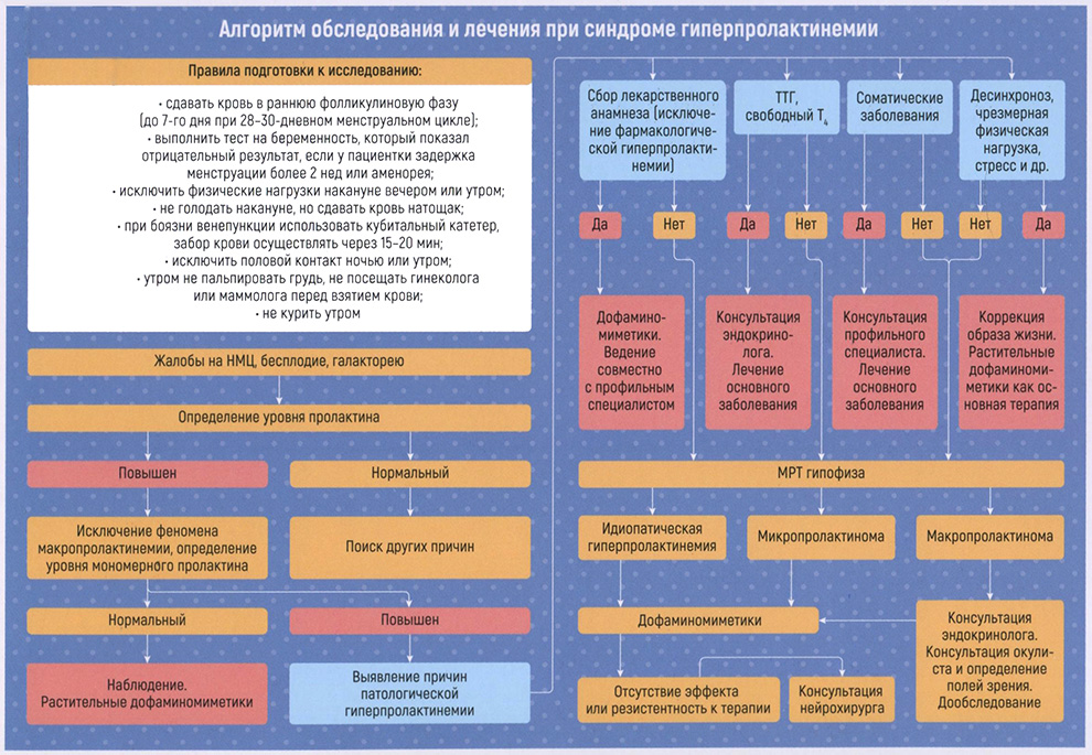 Алгоритм обследования и лечения при синдроме гиперпролактинемии