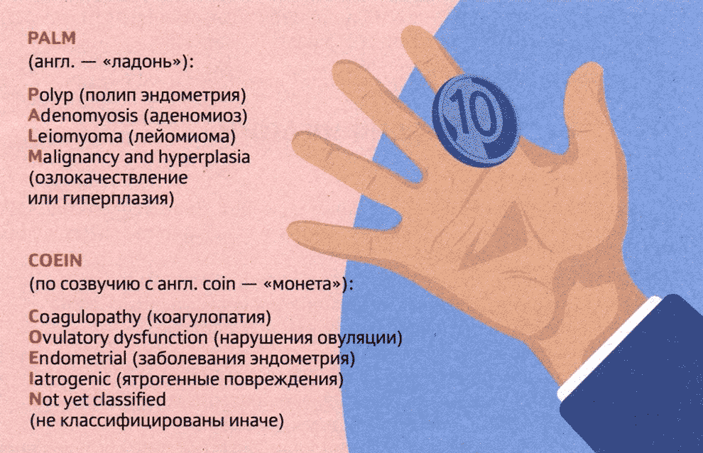 Рис. 5-1. Классификация PALM-COEIN