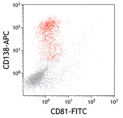 CD81 - гликопротеин семейства тетраспанинов