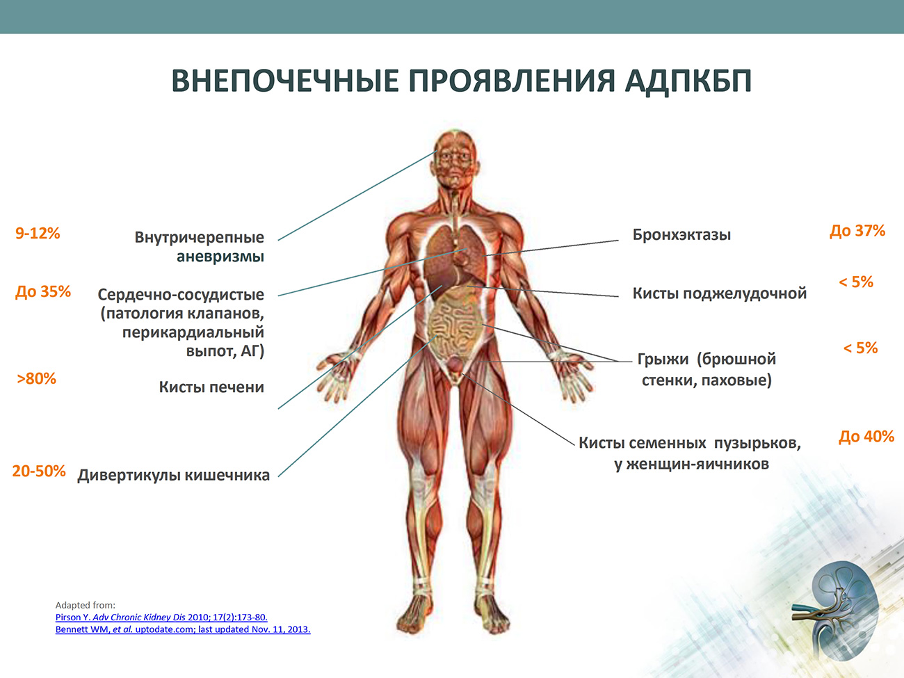 Внепочечные проявления АДПКБП