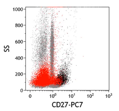 CD27 входит в семейство рецепторов к TNF