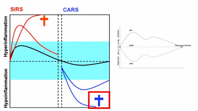 Теория SIRS/CARS