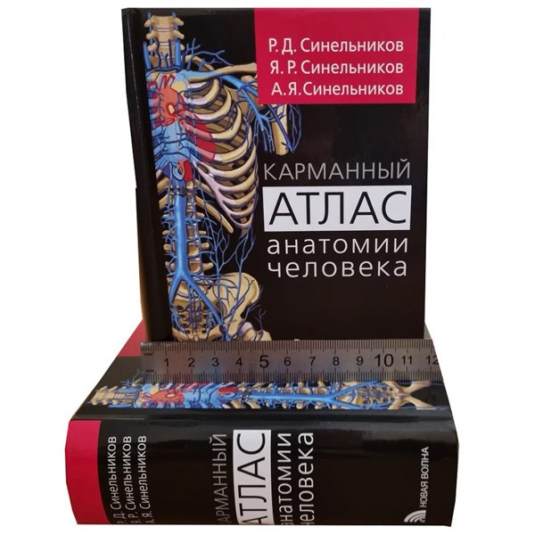 Купить атлас "Карманный атлас анатомии человека" - Синельников Р. Д. в интернет-магазине медицинской книги shopdon.ru
