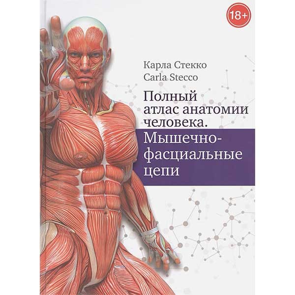 Вы читал отрывок из книги "Соединительная ткань: строение, матрикс, волокна и клетки" Вы читал отрывок из книги "Соединительная ткань: строение, матрикс, волокна и клетки"