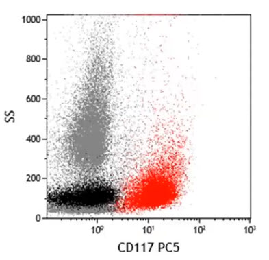 CD117 протоонкоген c-KIT