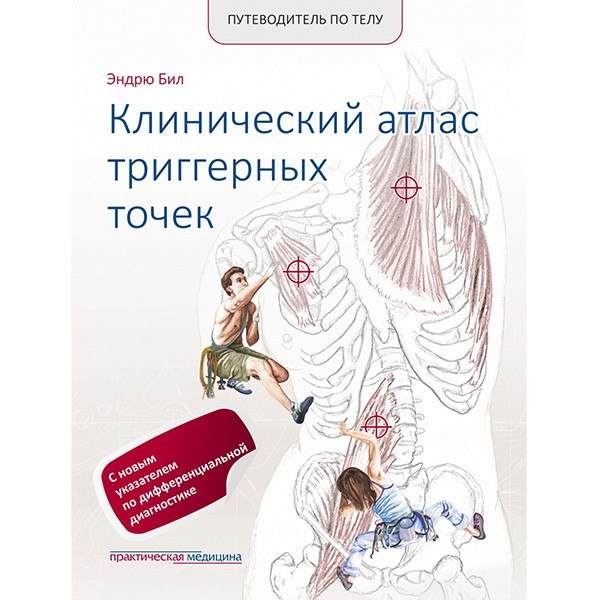 Купить книгу в магазине shopdon.ru "Путеводитель по телу. Клинический атлас триггерных точек" - Эндрю Бил