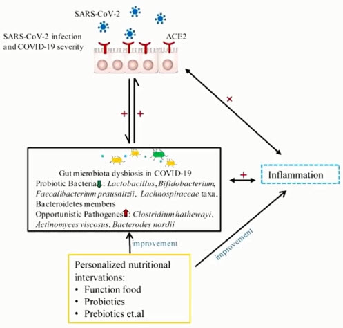 Индивидуальные стратегии питания для профилактики лечения SARS-CoV-2