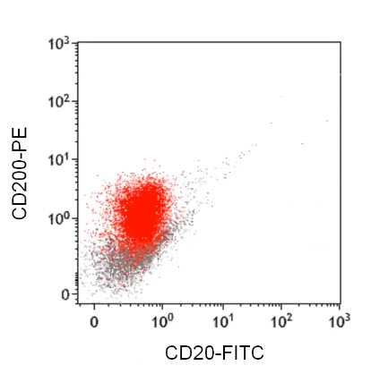 CD200 трансмембранный гликопротеин