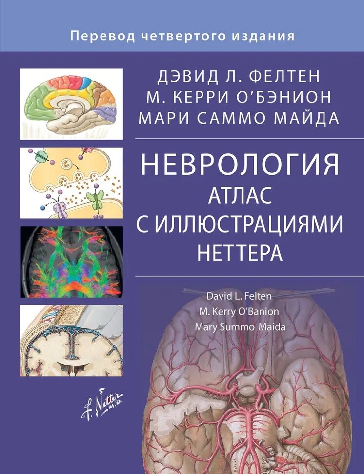 Купить книгу "Неврология. Атлас с иллюстрациями Неттера" - Фелтен Дэвид Л. в интернет-магазине shopdon.ru