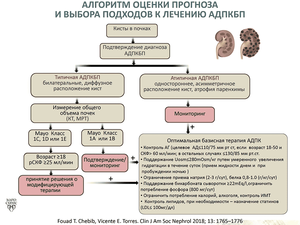 Алгоритм оценки прогноза и выбора подходов к лечению АДПКБП