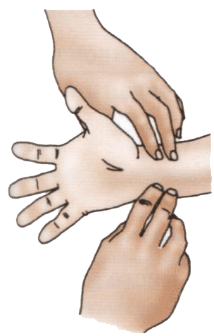Не удаляя пальцы от артерий пациента, попросите его разжать кулак и держать руку в расслабленном состоянии