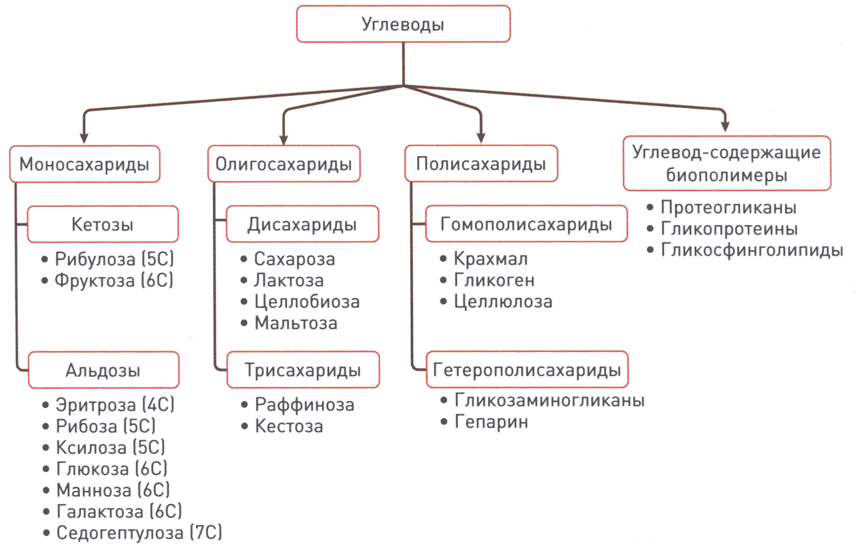 Классификация углеводов