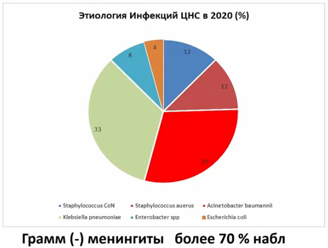 Этиология Инфекций ЦНС в 2020 (%)