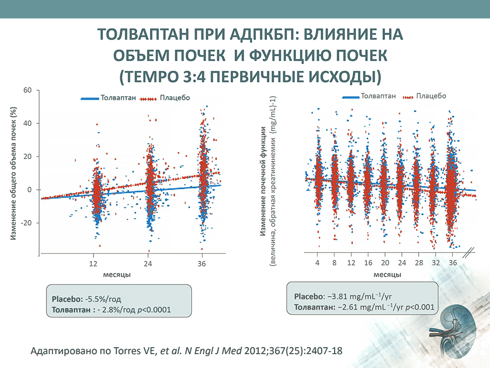 Толваптан при АДПКБП: влияние на объем почек и функцию почек