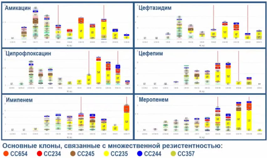 Распределение МПК различных антибиотиков для различных клонов Р. aeruginosa