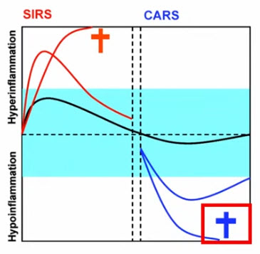 Теория SIRS/CARS