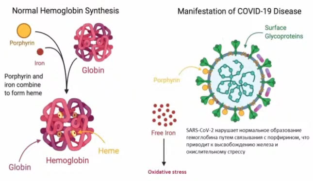 Окислительный стресс и гипоксия при COVID-19 - ведущие патогенетические процессы