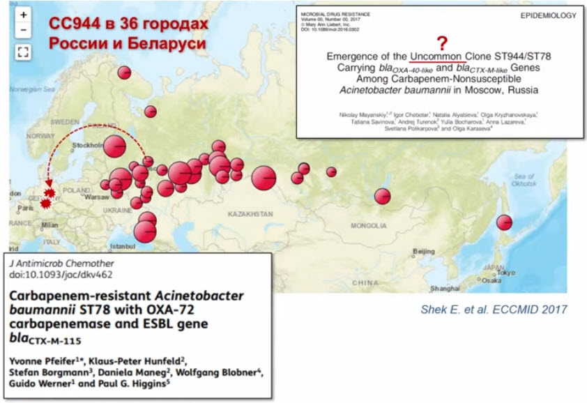 Данные генотипирования 3840 изолятов из 50 городов России и Беларуси