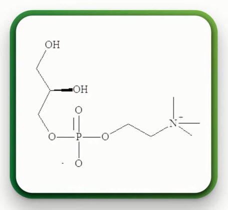 Глиатилин (МНН-холина альфосцерат) метаболит фосфолипидов со следующей структурной формулой