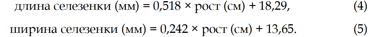 Уравнения для расчета наибольших нормальных значений длины и ширины селезенки