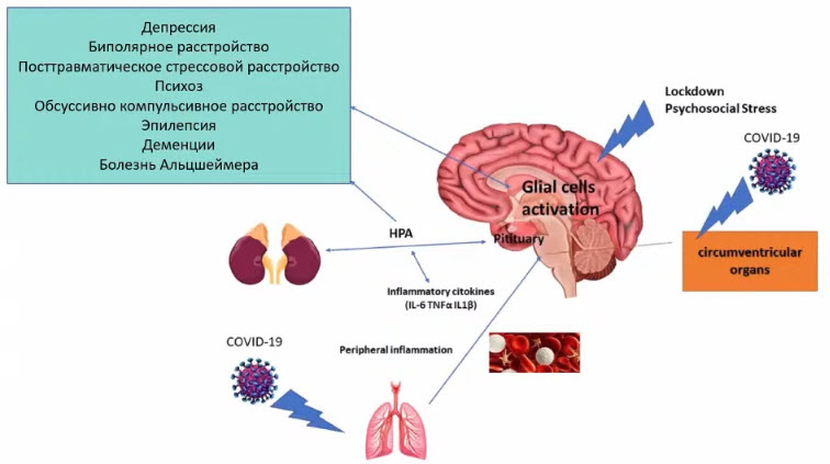 Нейропсихиатрические последствия COVID-19