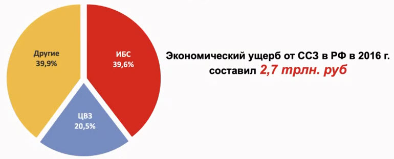 Структура экономического ущерба от ССЗ по группам заболеваний в РФ в 2016 г
