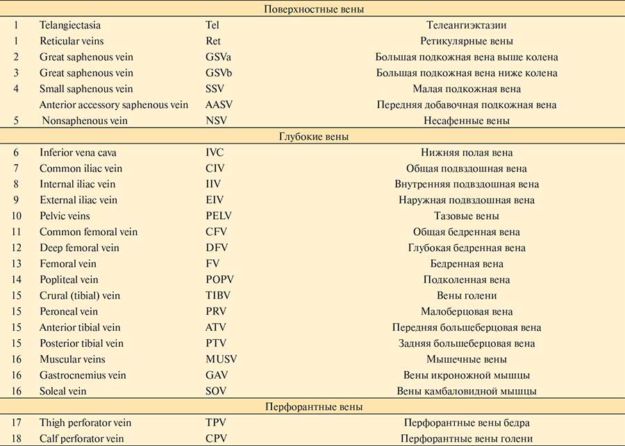 Таблица. Полные наименования венозных сегментов и аббревиатуры, используемые в классификации СЕАР