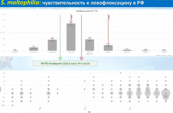 S. maltophilia: чувствительность к левофлоксацину в РФ