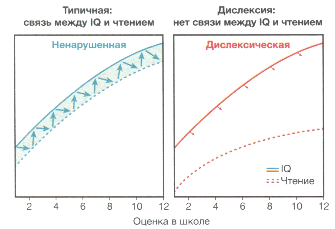 Динамическое расхождение между способностью к чтению и уровнем IQ Динамическое расхождение между способностью к чтению и уровнем IQ