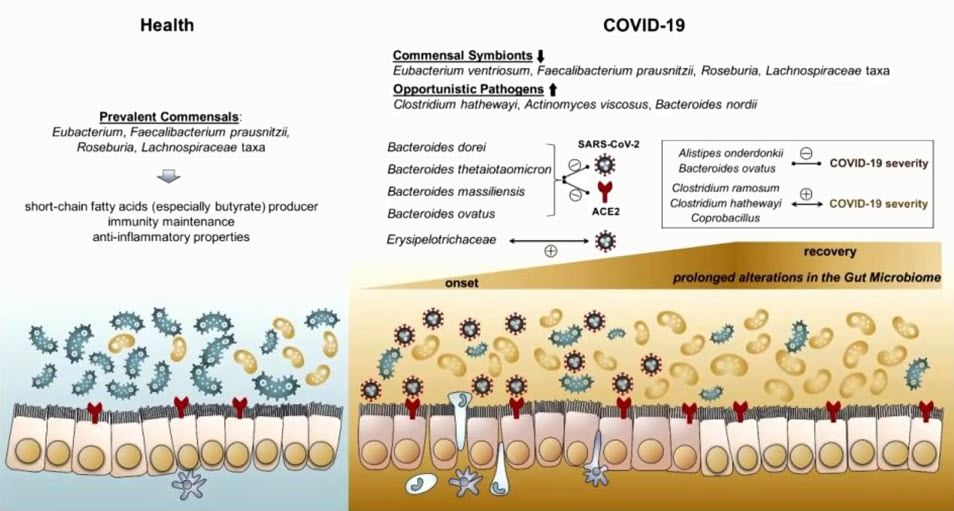 Пациенты с COVID-19, поступающие в стационар в абсолютном большинстве случаев уже получали антибиотики