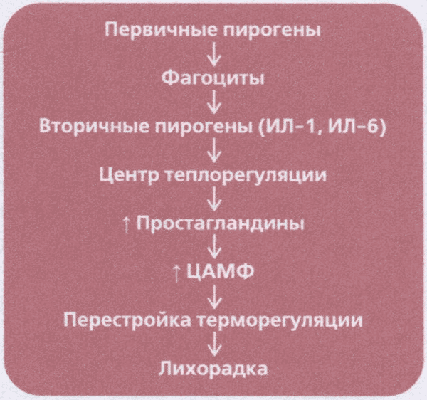 Рис. 1.1. Патогенез лихорадки