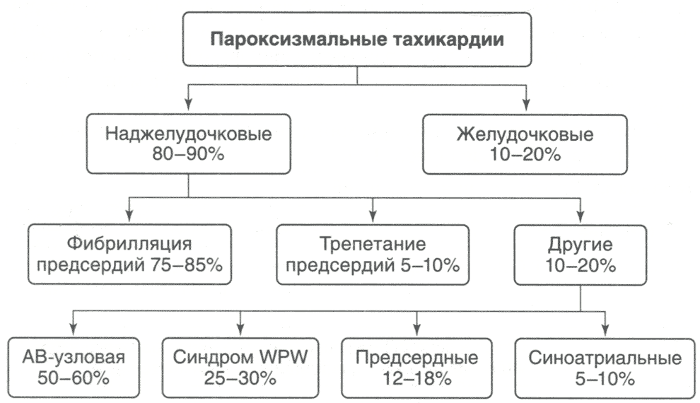 Частота пароксизмальных тахикардий