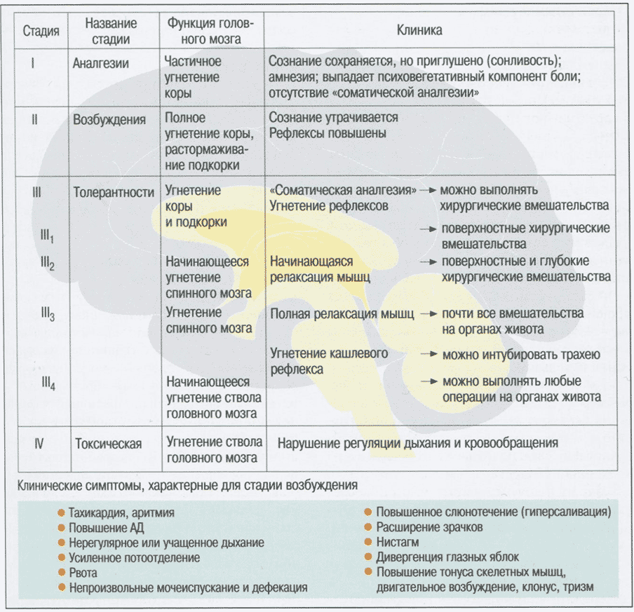 Изменения функций головного мозга в соответствии с клиническими стадиями анестезии.