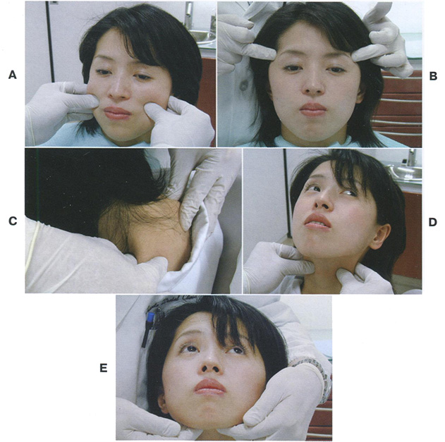  Пальпация мышц. А. Жевательная мышца. В. Височная мышца