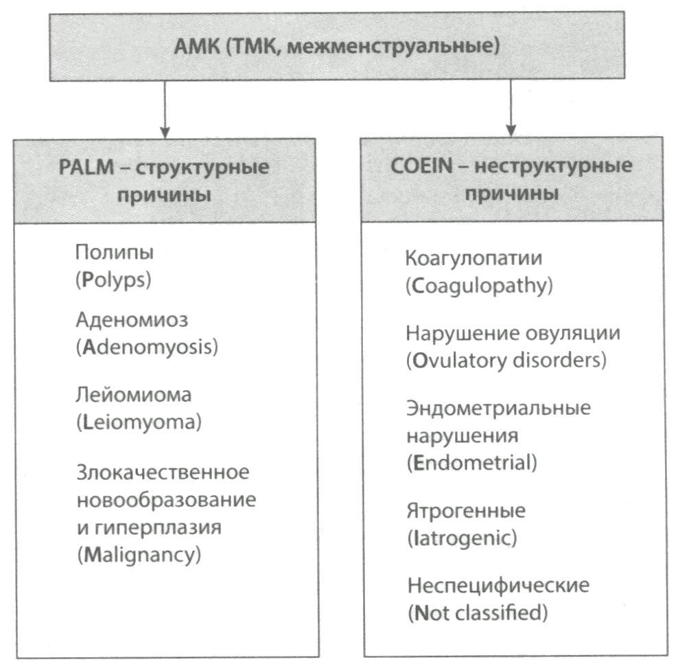 Классификационная система FIGO причин аномальных маточных кровотечений у небеременных женщин репродуктивного возраста Классификационная система FIGO причин аномальных маточных кровотечений у небеременных женщин репродуктивного возраста