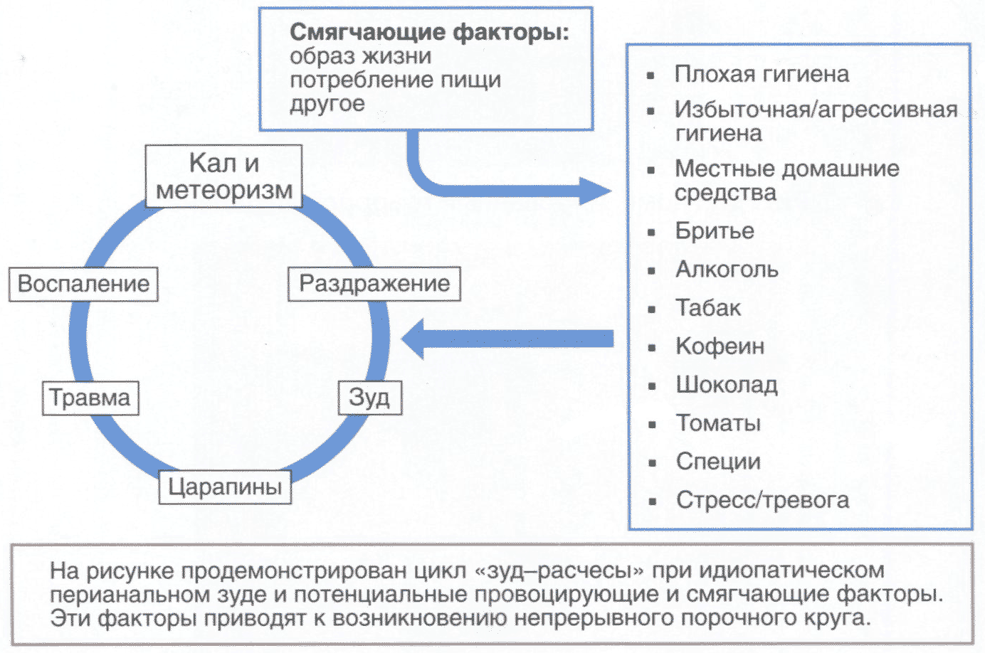 Рис. 2.1. Порочный круг «зуд-расчесы-зуд» и триггерные факторы его возникновения