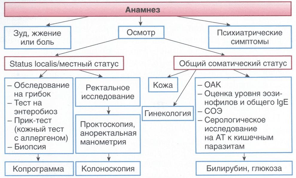 Рис. 2.8. Диагностический алгоритм ведения пациентов с перианальным зудом