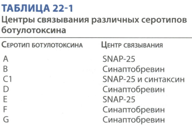Таблица 22-1 Центры связывания различных серотипов ботулотоксина