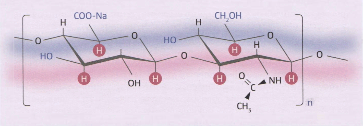 Рис. 5-2. Структура природной гиалуроновой кислоты.