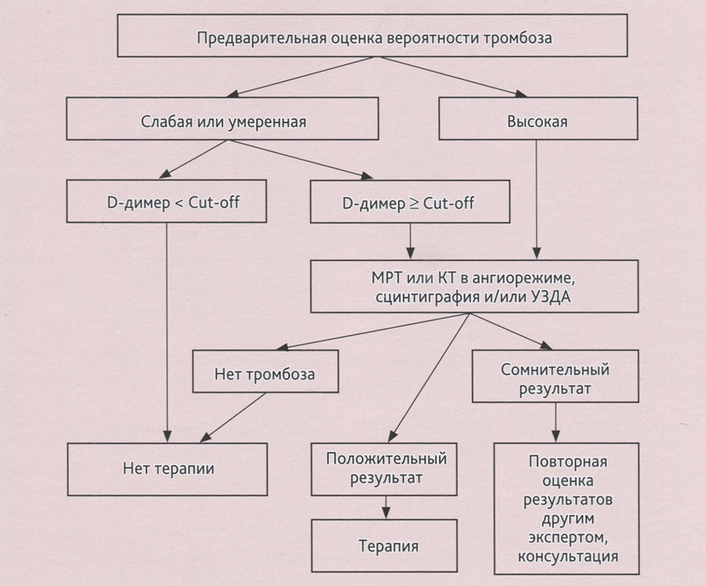Алгоритм принятия клинических решений при подозрении на ТГВ / ТЭЛА