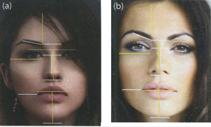 «Золотые» пропорции присущи всем красивым лицам независимо от расовой принадлежности.