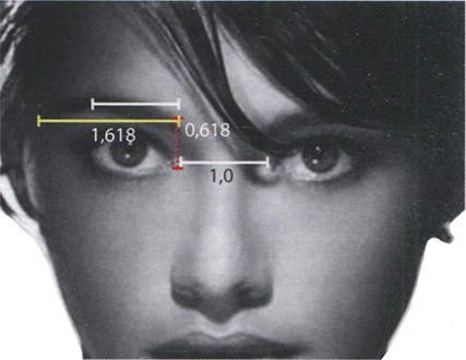 «Золотые» пропорции женского лба