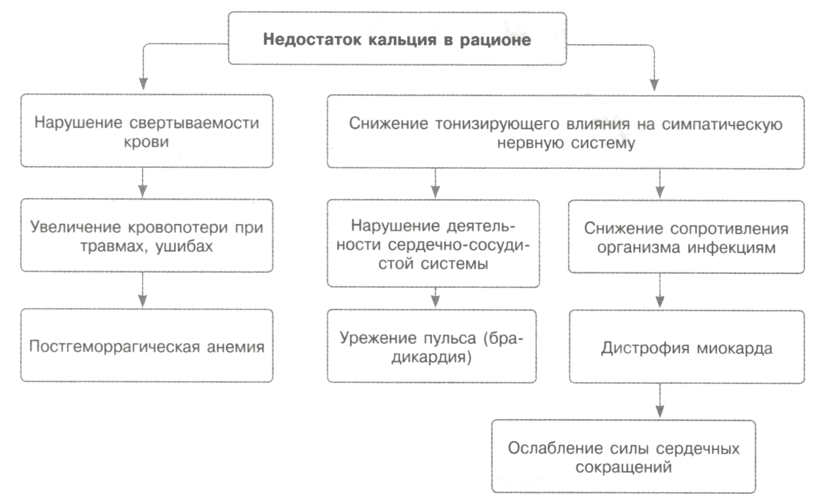 Синдромальные проявления дефицита кальция в организме Синдромальные проявления дефицита кальция в организме
