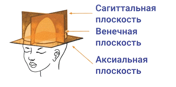 Сагиттальная плоскость. Венечная плоскость. Аксиальная плоскость