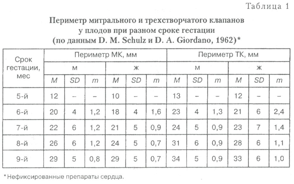 Периметр митрального и трехстворчатого клапанов у плодов при разном сроке гестации
