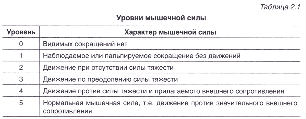 Таблица 2.1 Уровни мышечной силы Таблица 2.1 Уровни мышечной силы